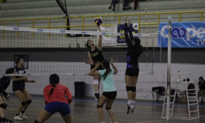 La lucha por la prevalencia del voleibol es constante